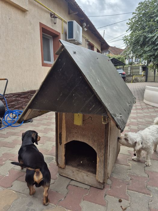 Cușcă câini ideala pentru talie mica