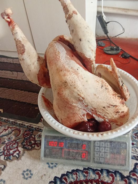 Домашний курке ети 3300кг
