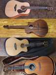 Chitara Electro Acustica Taylor Fender Ibanez Cort R. King Takamine