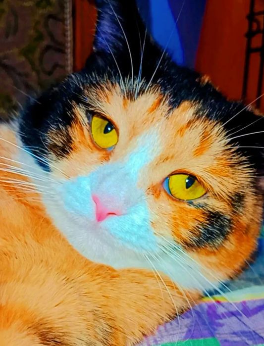 Хэппи ждёт свою семью