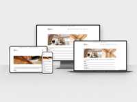 Web Design - Realizare site magazin online