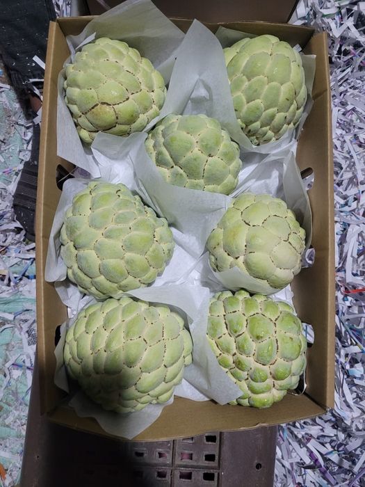 Mango ready to eat -  fructe din Egipt direct de la importator