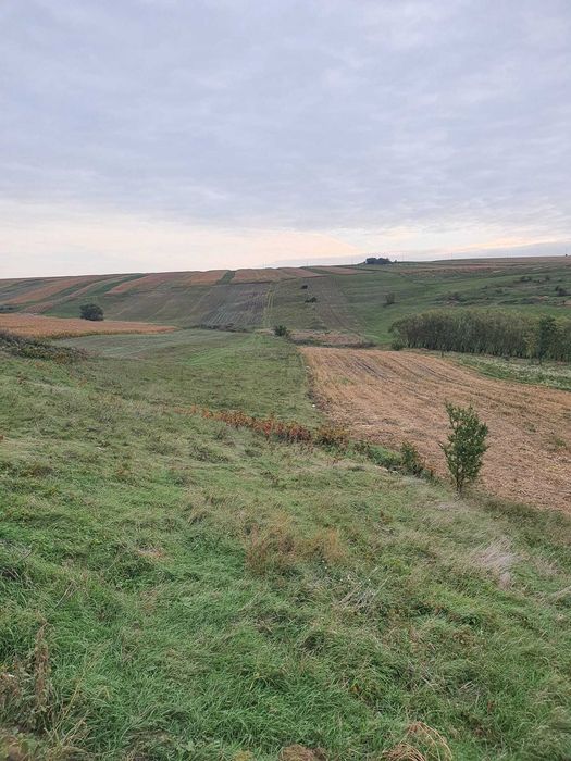 parcele de teren langa Botosani pt investitii