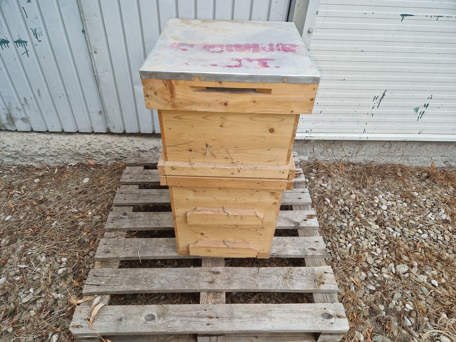 Stupi albine din lemn - Layens