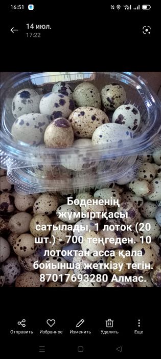 Перепелиные яйца.