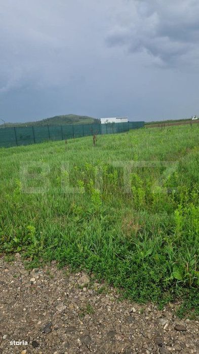 Teren pentru casa intravilan , 800 mp deschidere la drum Bod