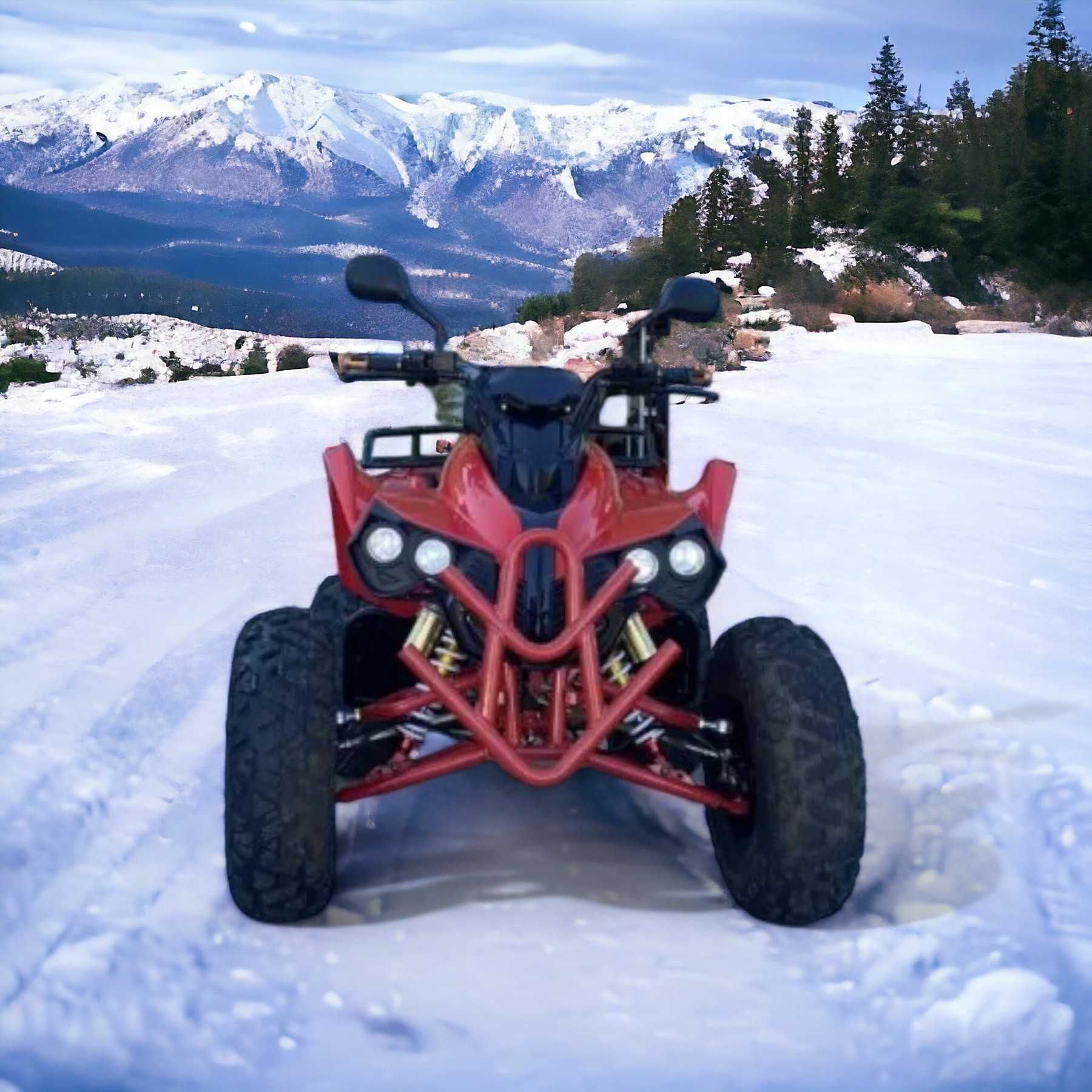 Бензиново ATV MaxMotors Grizzly Sport 200cc