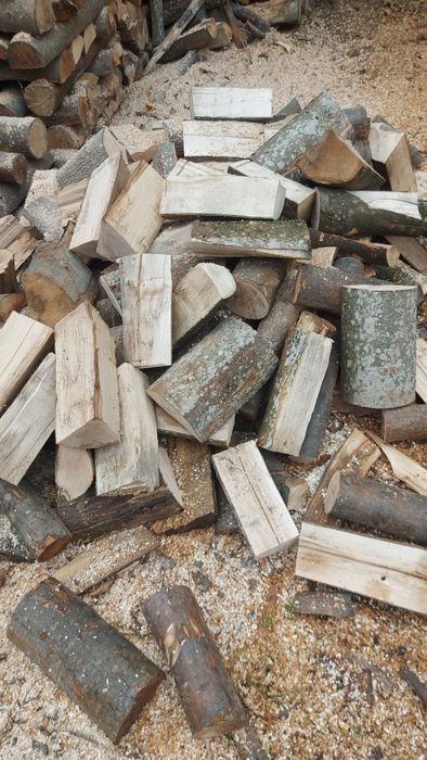 Vând lemne de foc fag și stejar ,uscate și verzi !!