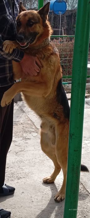 Кабель для вязки, гарантия обеспечена