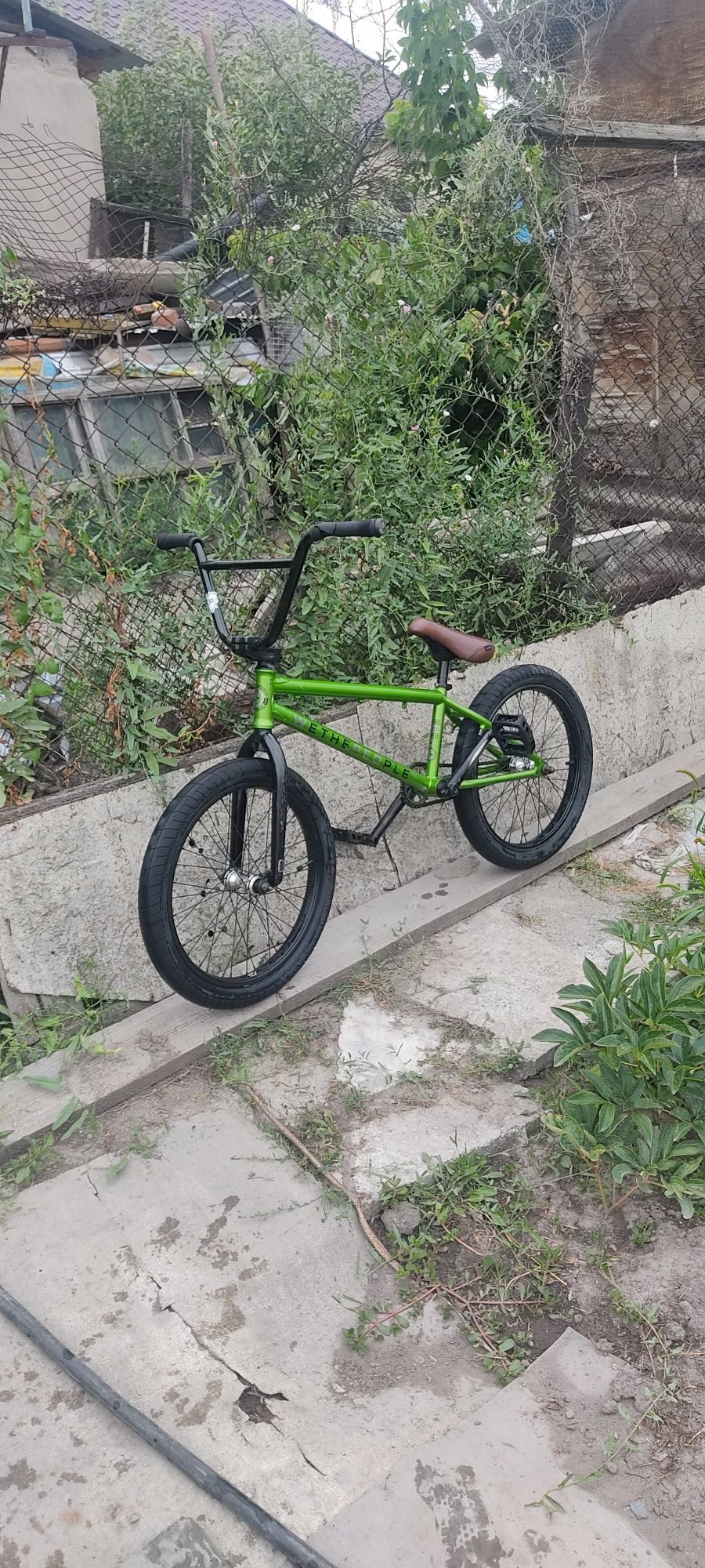 bmx wtp curse 20'