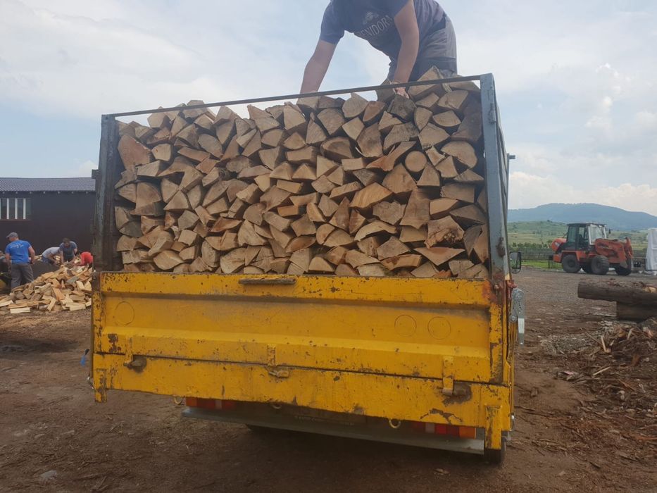 Lemn pentru foc FAG
