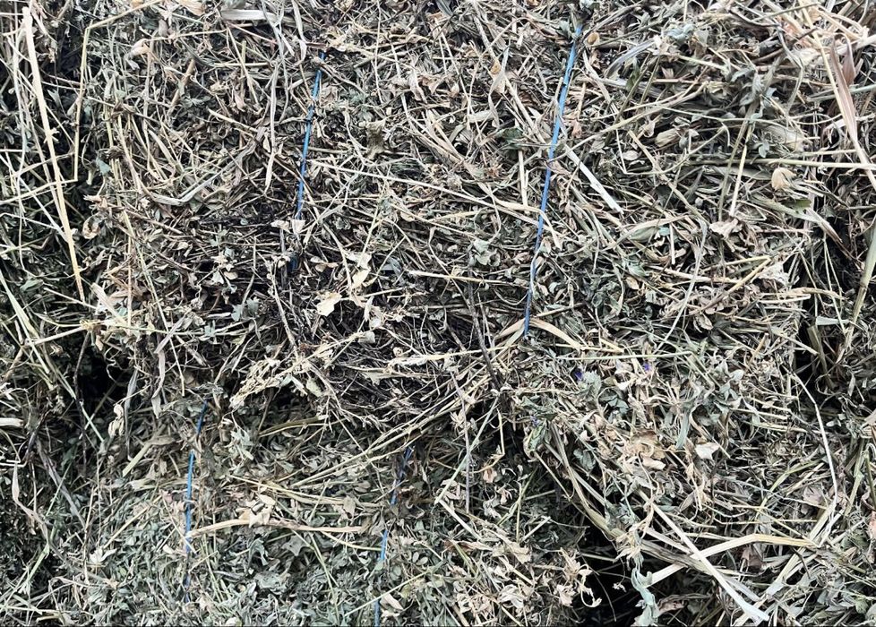 Vand baloti de lucerna