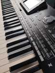 Vind korg Pa3X pro