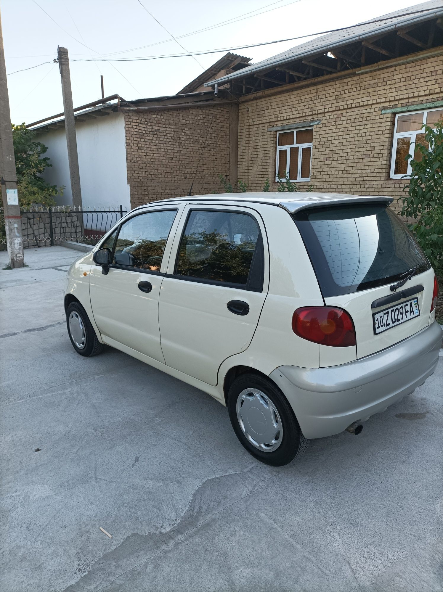 Mattiz mx xolati yaxw