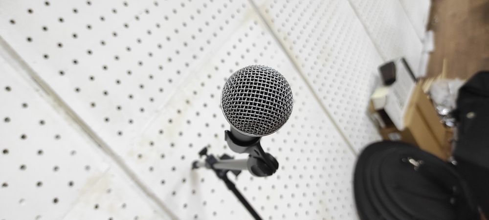 Microfon Shure SM58S