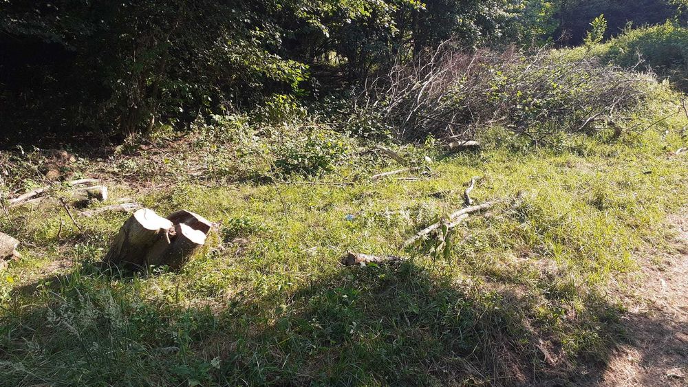 Proprietar vand parcela pentru cabana de vacanta Muntii Poiana Ruscai