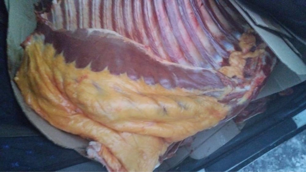 Продам конину. Жылқы еті свежый жақсы ет дайын тұр