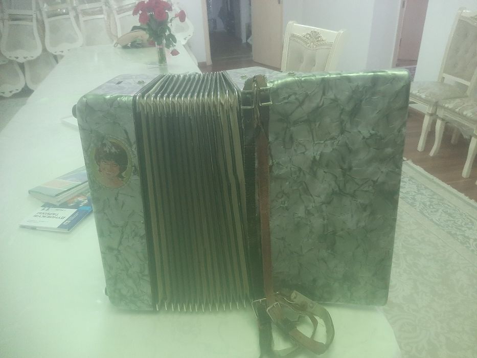 Аккордеон немецкий