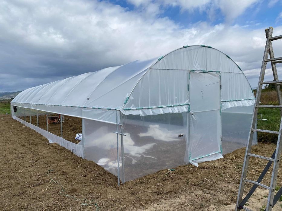 Solarii Legume  si Flori