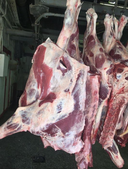 Мясо КРС, свежое мясо с доставкой до дома