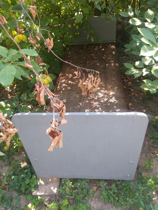 Продам железные кравати