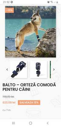 Orteze Profesionale ptr caini