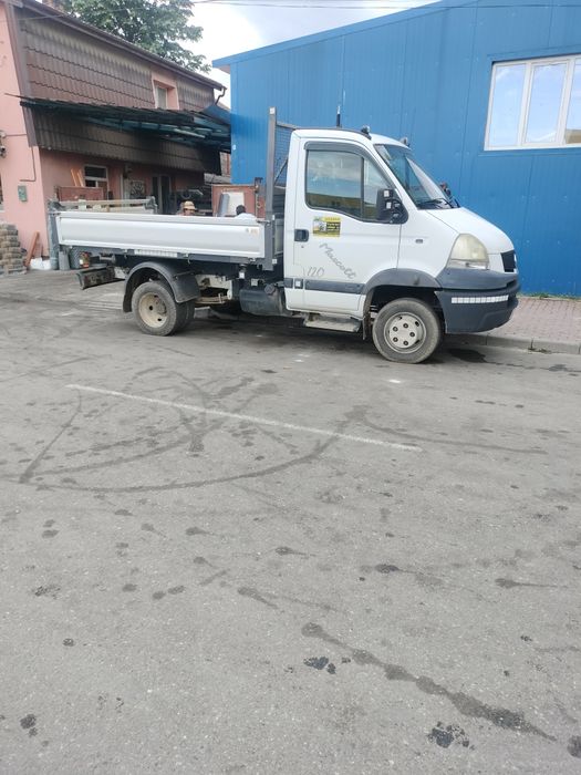 Sort -nisip și lemne