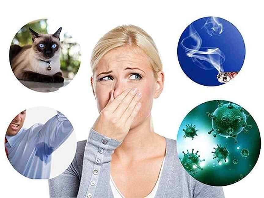 Озон удаление устранение запаха вирусов итд