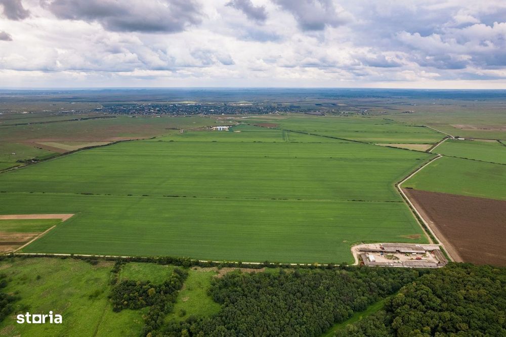 Teren arabil de 1074 hectare în Ialomița