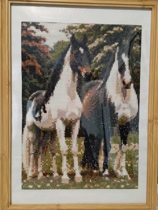 Диамантени гоблени в рамка