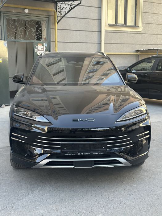 Byd chempion gibrid 2025