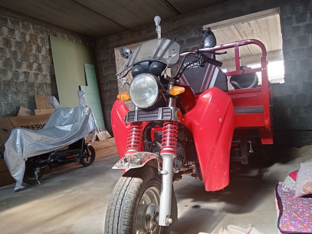 Motorol yili 2024