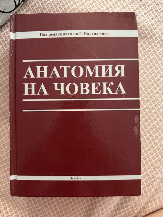 Учебник по Анатомия