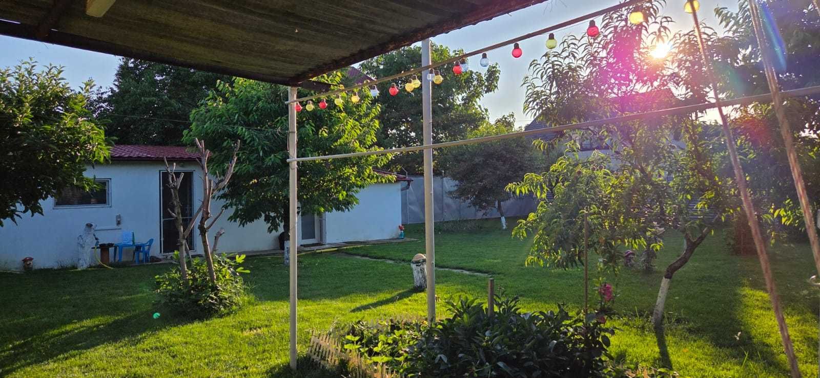 Teren/gradina ~ oaza de verdeata si liniste Pasarea, Branesti,
