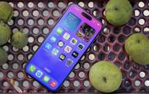 Display Iphone 11Pro Max 12Pro Max 13 14Pro 15Pro X XS Max XR SE 12 13