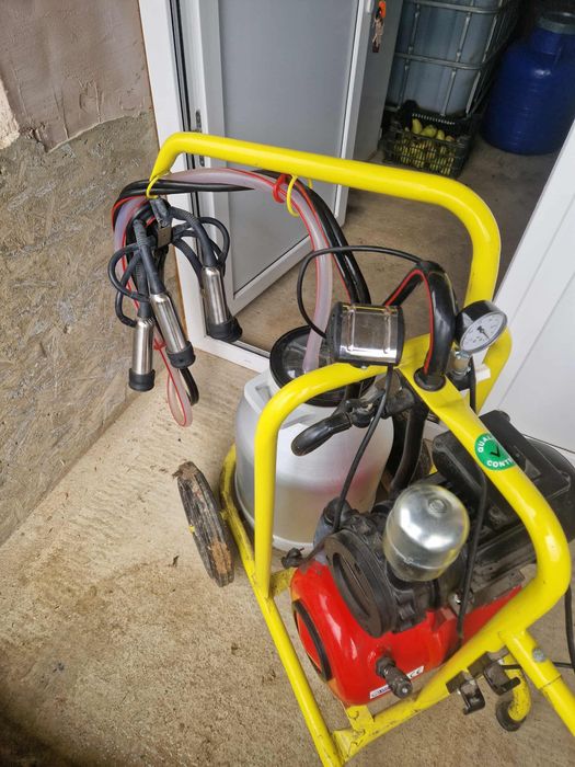 Mulgatoare automata vaci