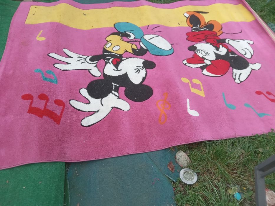 Vand covor camera copii