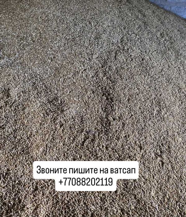 Ячмень зерно в мешках