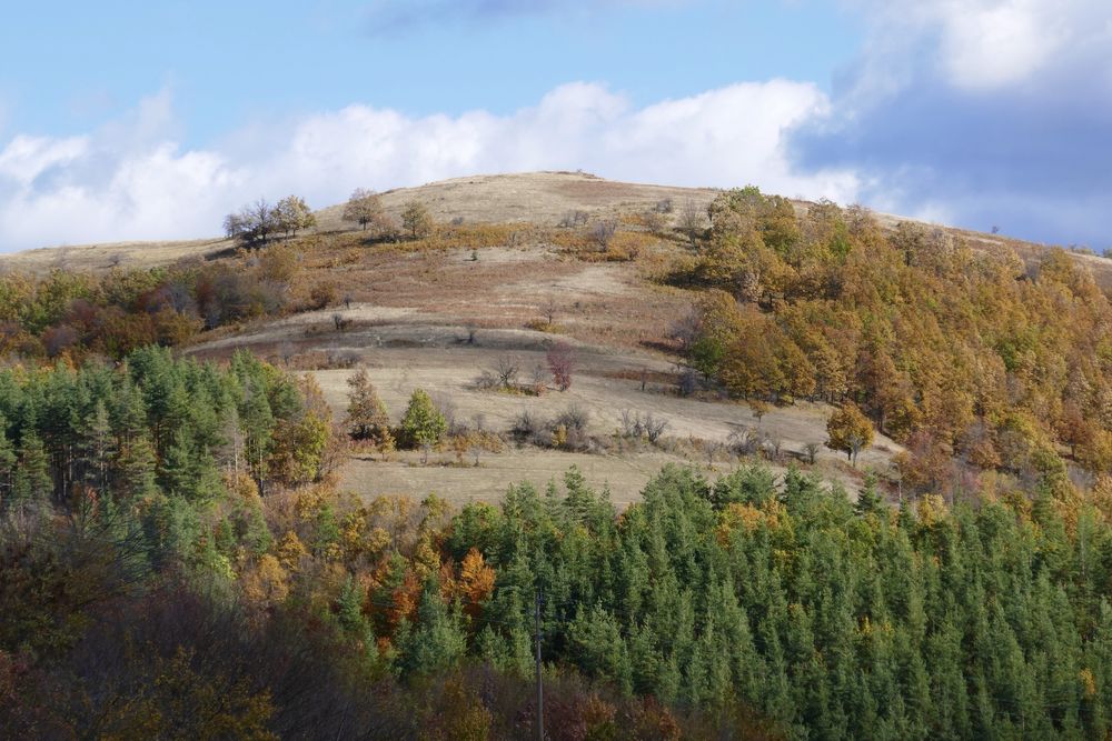 Panasonic Lumix TZ101