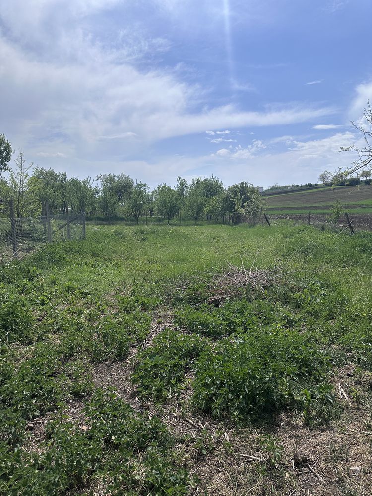 Vand gradina/loc de casa Tritenii de Jos
