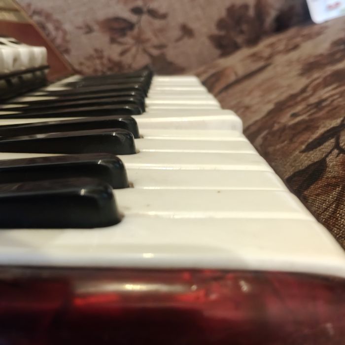 Акордеон weltmeister