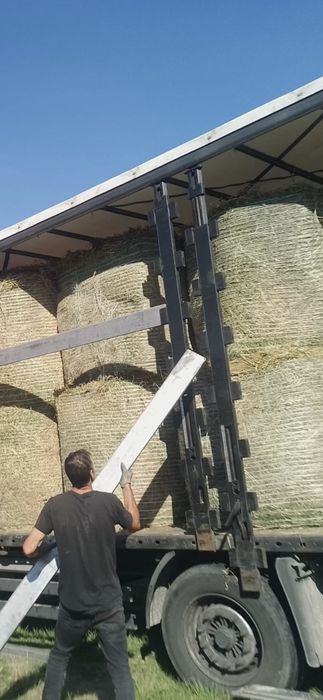 Baloti Rotunzi Fan sau Lucerna min.40.Drept.500.Pomi fructiferi >RO ES