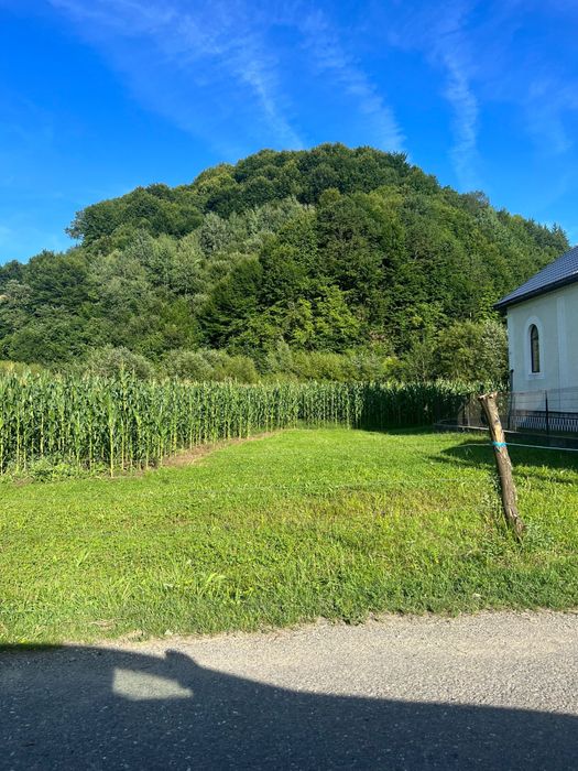 Casa + teren + padure sat Moliset, jud Bistrita Nasaud