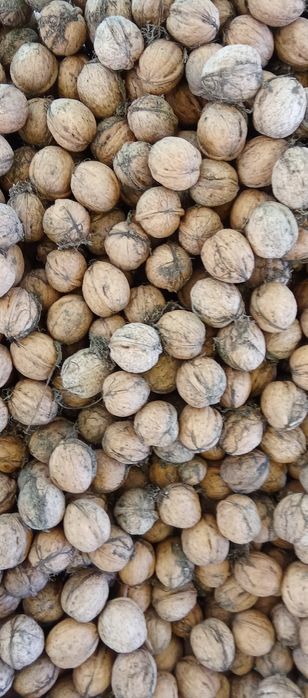 Орехи ядка , Био супер храна , Еко производство.