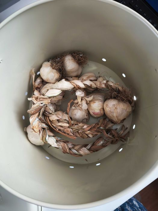 Съд с капак Galu Potatoes 6.325 L