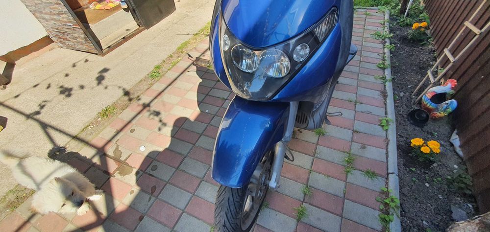 maxi scuter piaggio beverly 250 (carburatie)