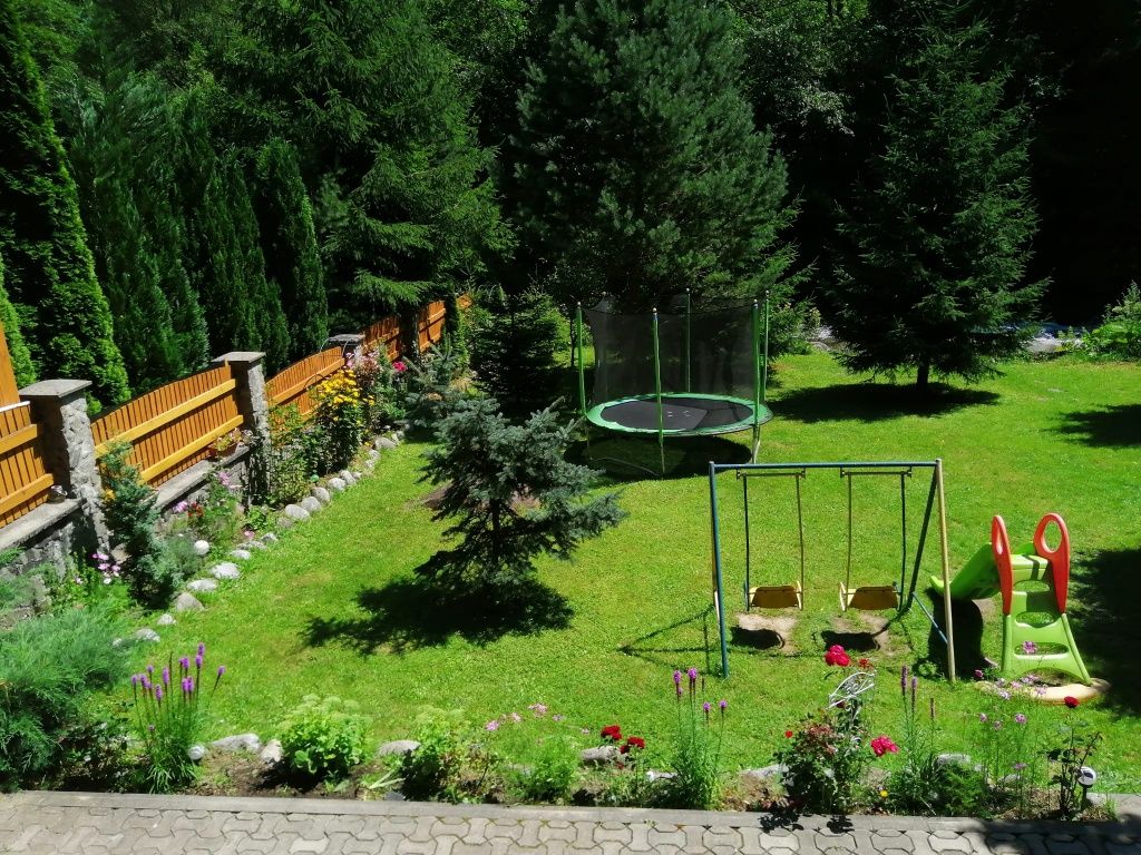 cabana de inchiriat - M-tii Retezat - disponibila de 1 Mai
