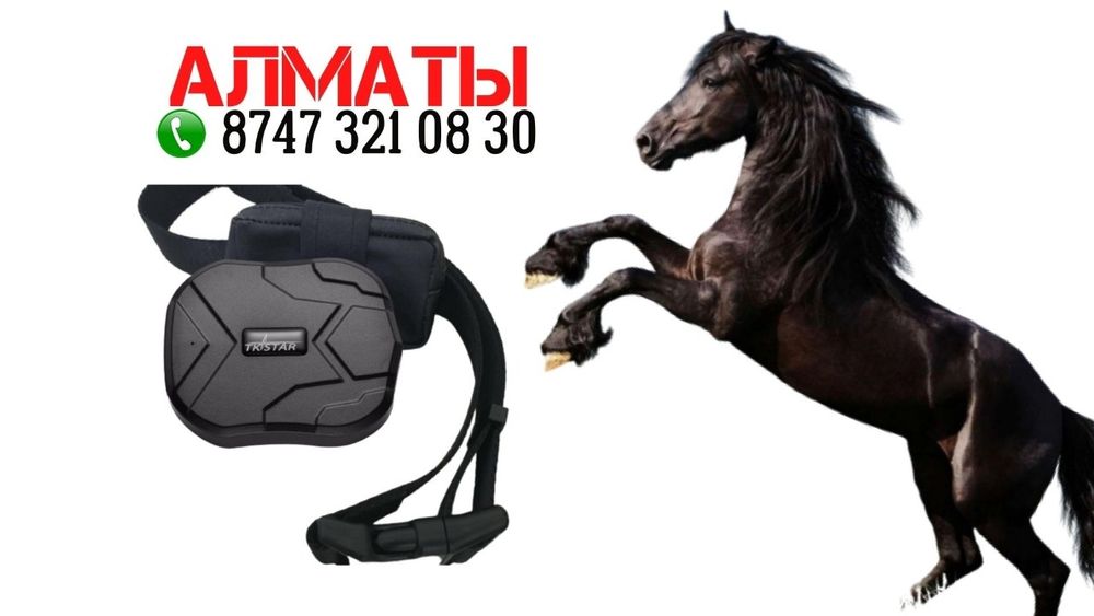 Жпс для лошадей GPS