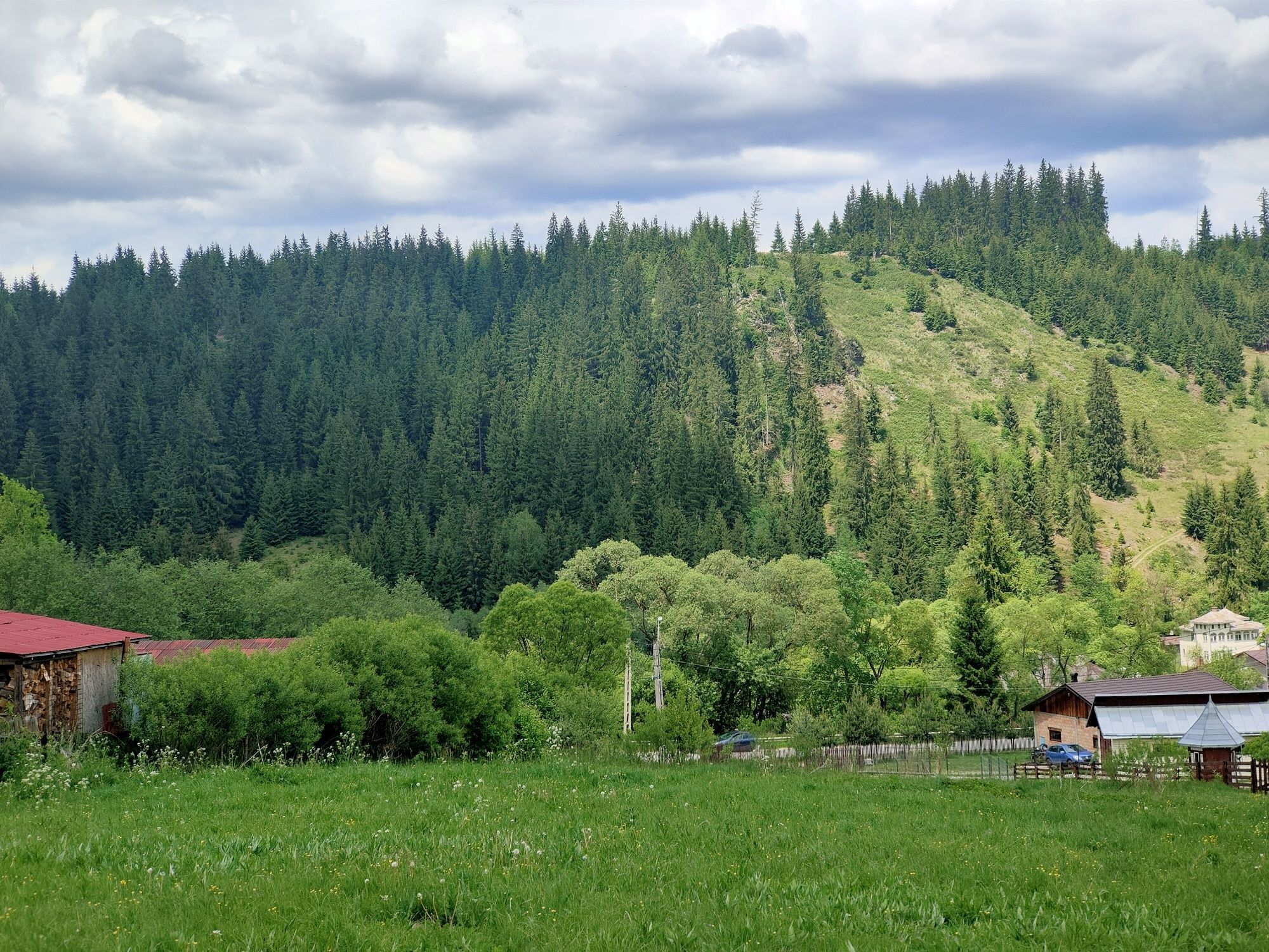 Persoana fizica, Dorna Arini, teren intravilan, parcele 1000 mp