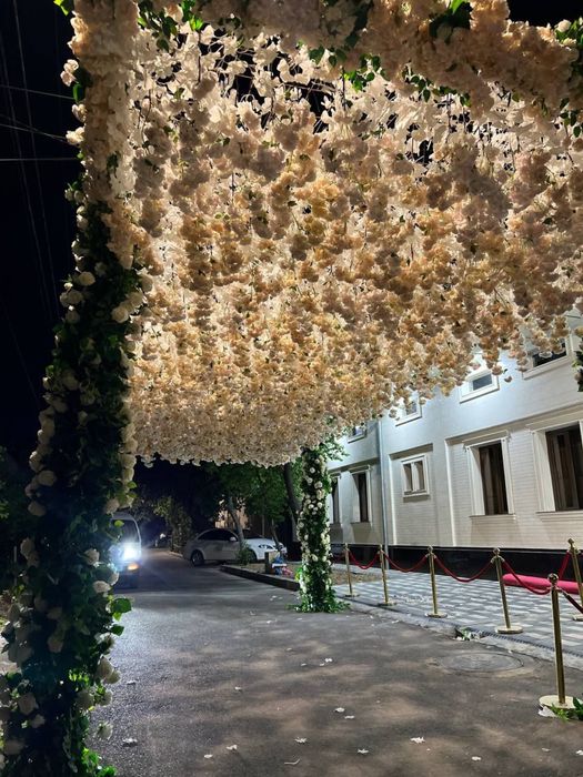 Oformleniya оформления xizmati